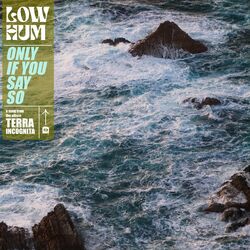 Cover of Only If You Say So