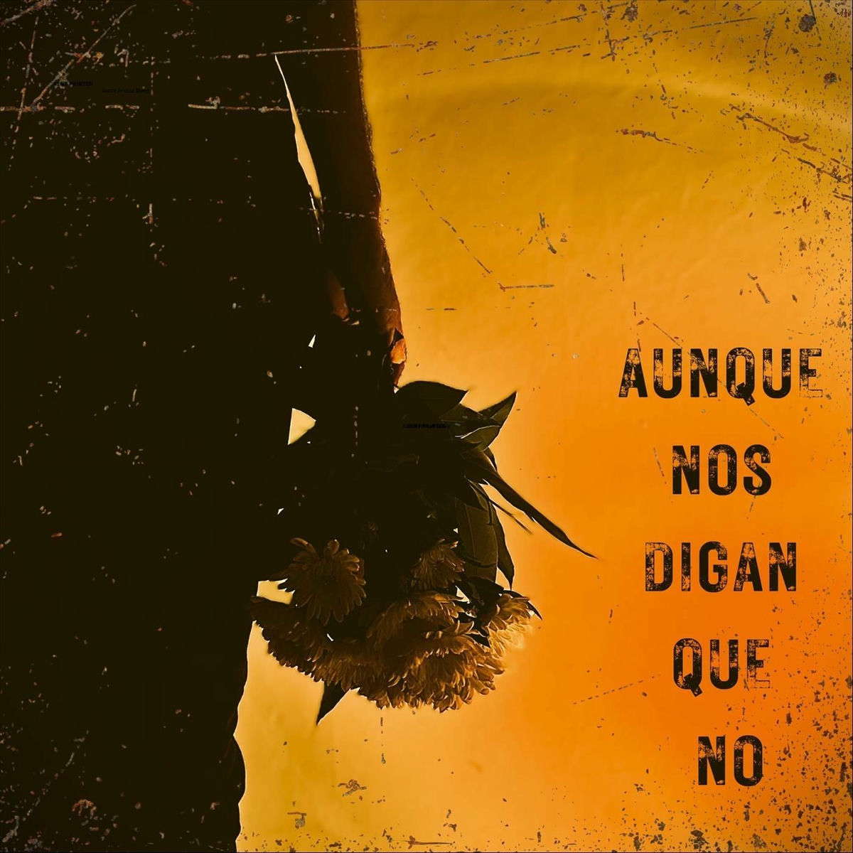 Album cover of Aunque nos digan que no