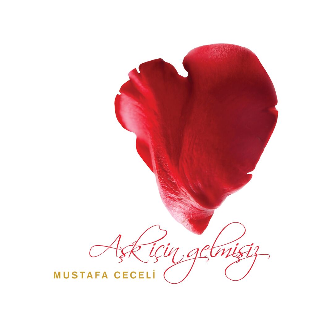 Picture of Aşk İçin Gelmişiz
