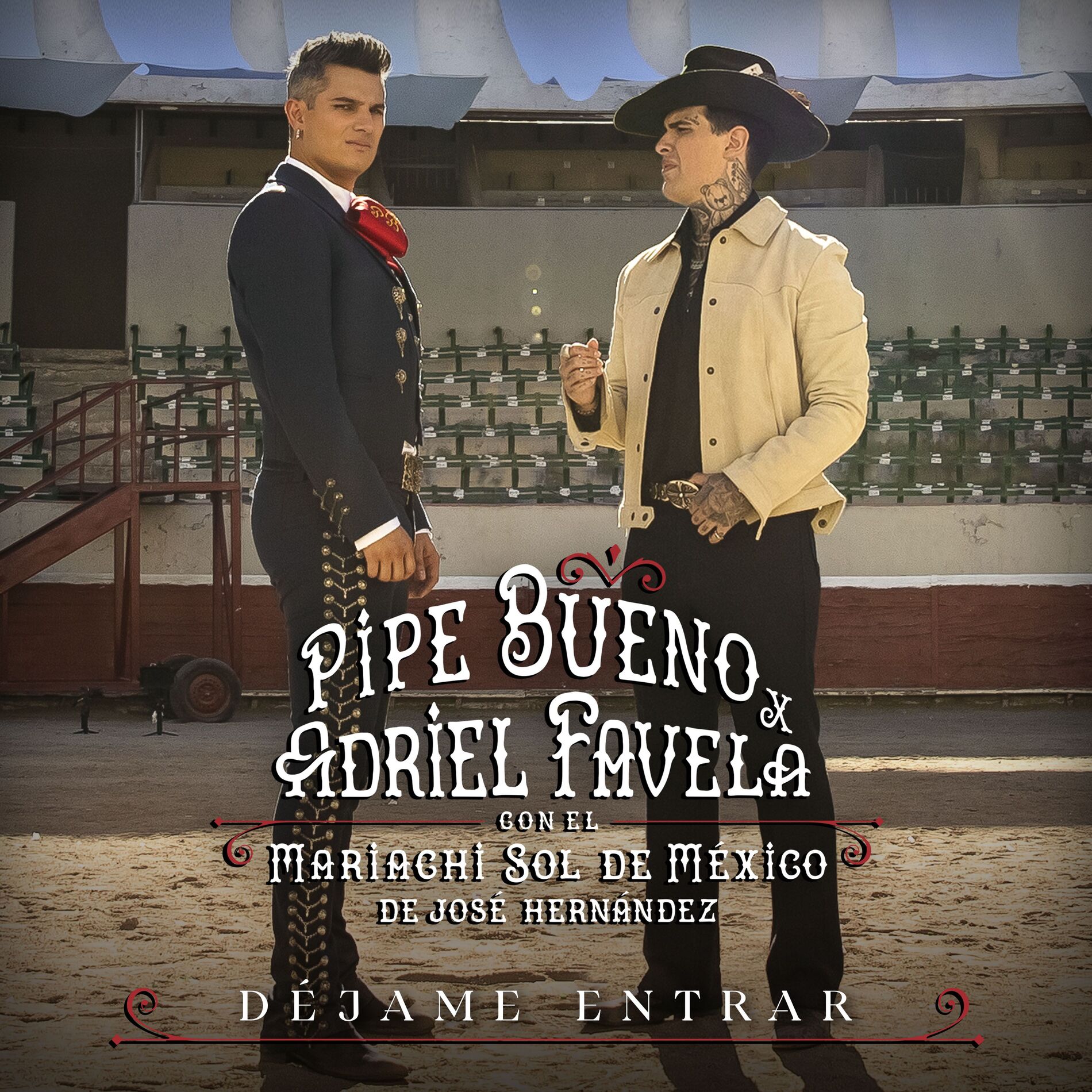 Album cover of Déjame entrar (feat. Mariachi Sol De Mexico De Jose Hernandez)