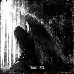 Cover of fracture by undefined