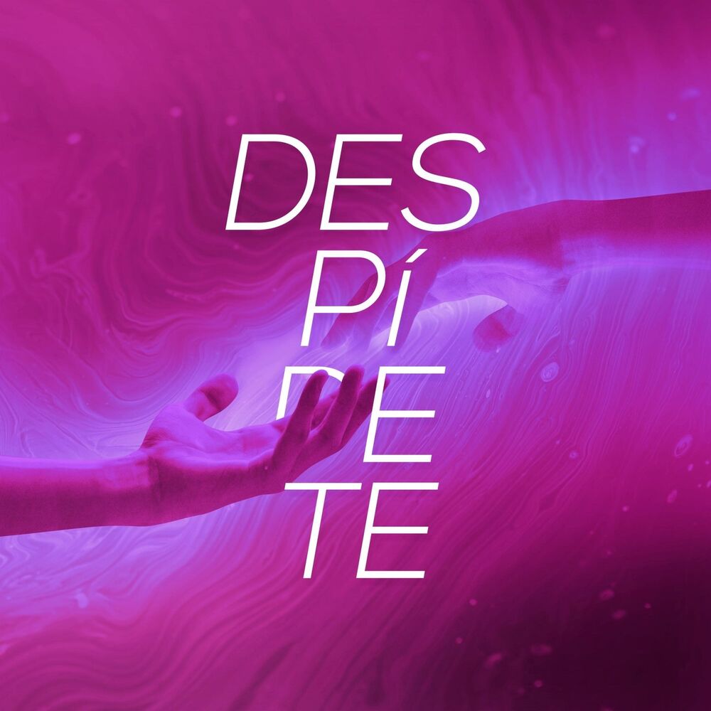 Picture of Despídete