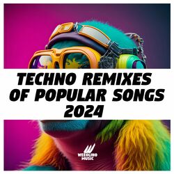 Cover of Techno Remixes of Popular Songs 2024