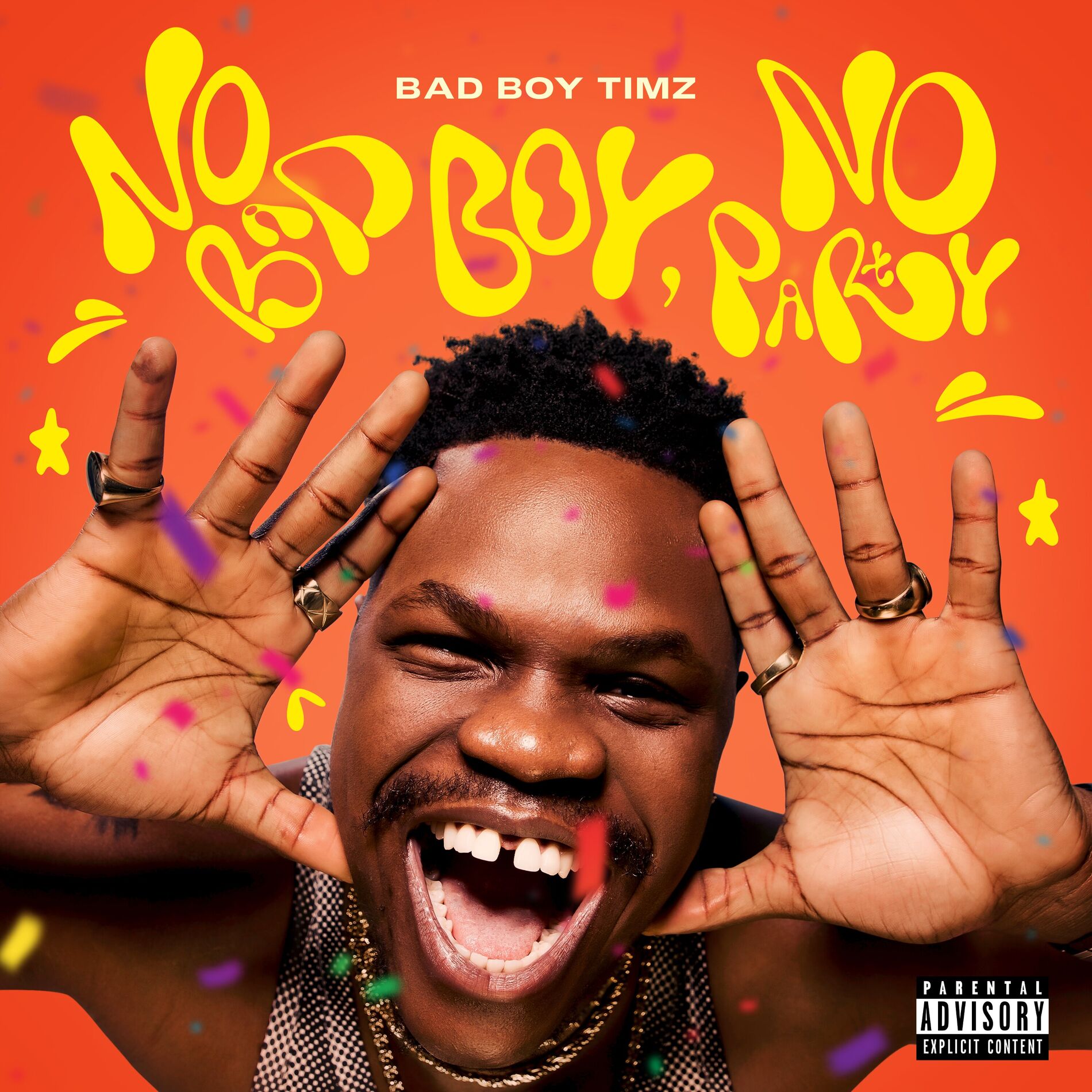 Album cover of No Bad Boy, No Party