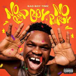 Cover of No Bad Boy, No Party