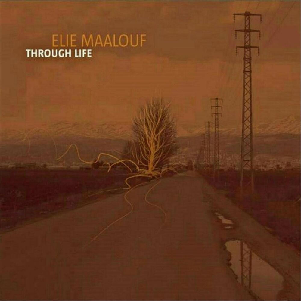 Picture of Through Life