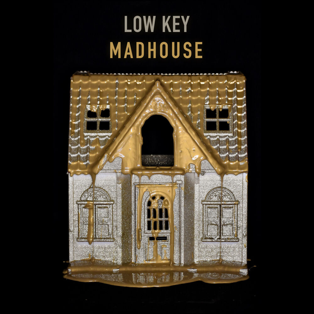 Picture of Madhouse