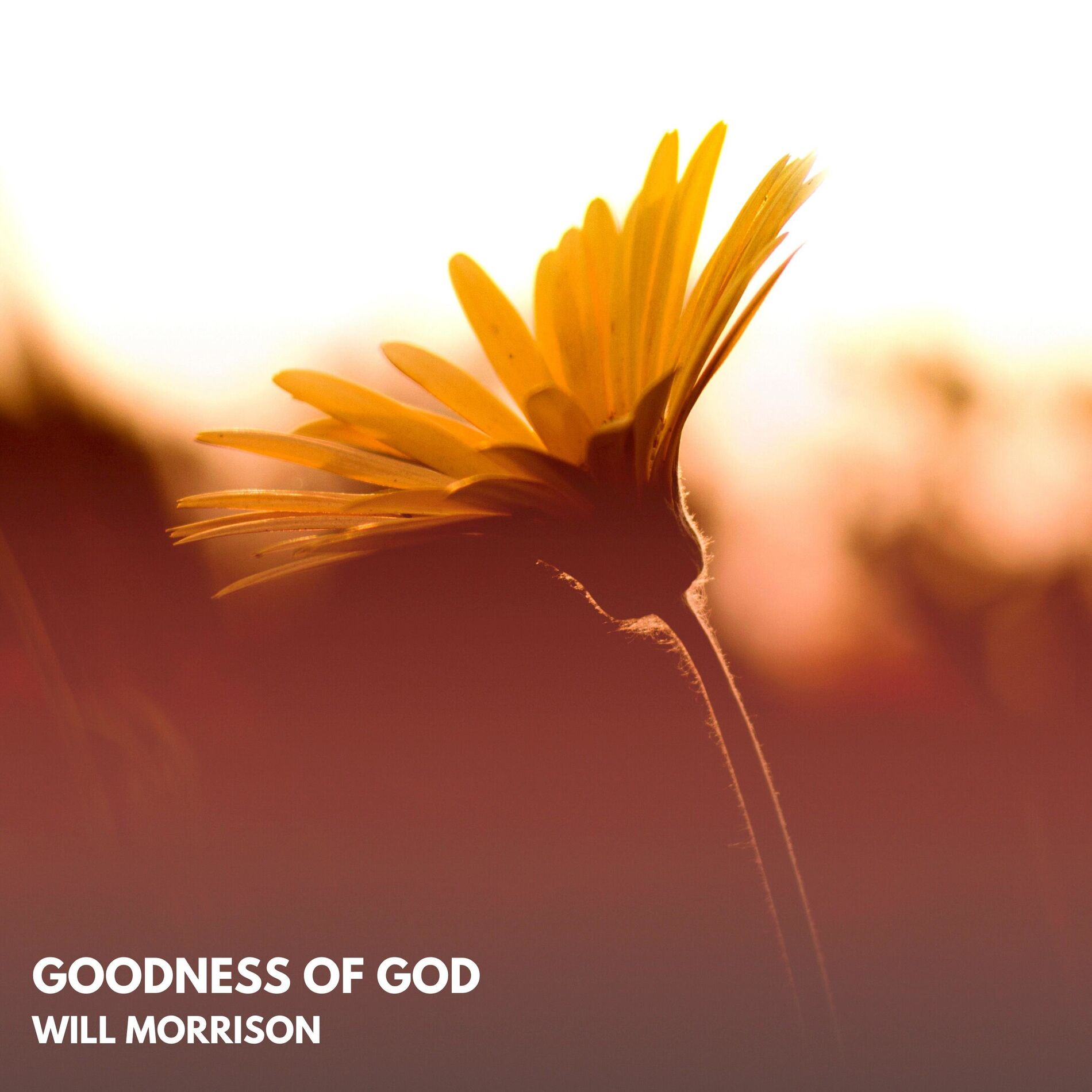 Album cover of Goodness of God (Acoustic)