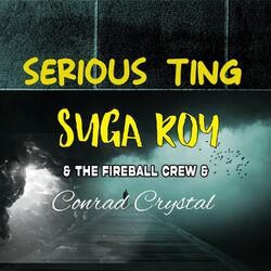 Cover of Serious Ting