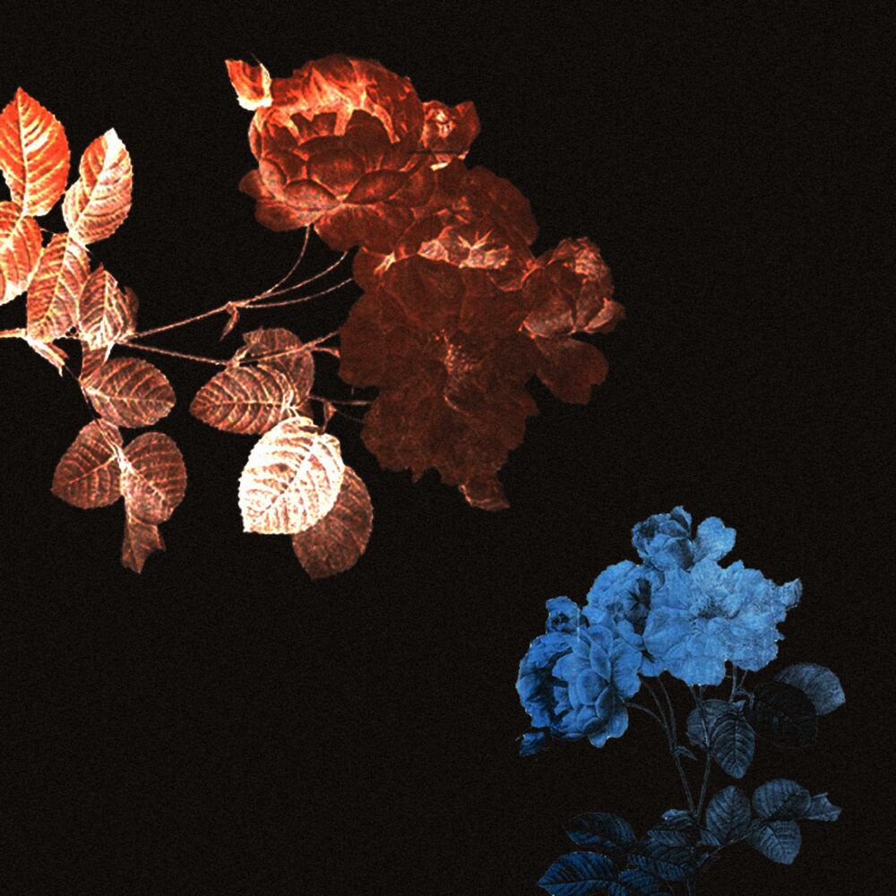 Picture of Flowers