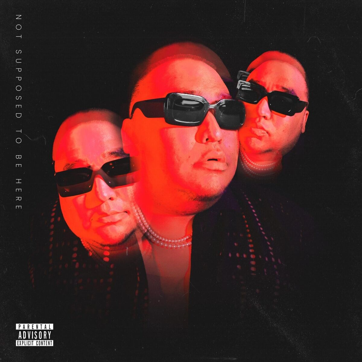 Album cover of Not Supposed To Be Here