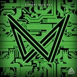 Cover of Sensory Overload