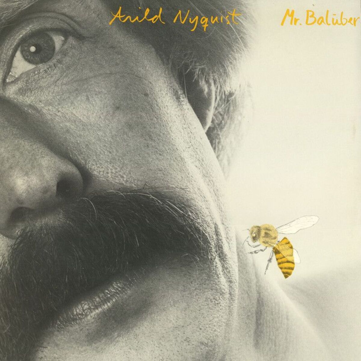 Album cover of Mr. Baluber