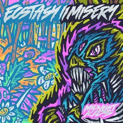 Cover of Ecstasy//Misery