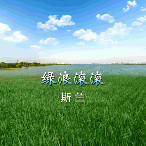 绿浪滚滚