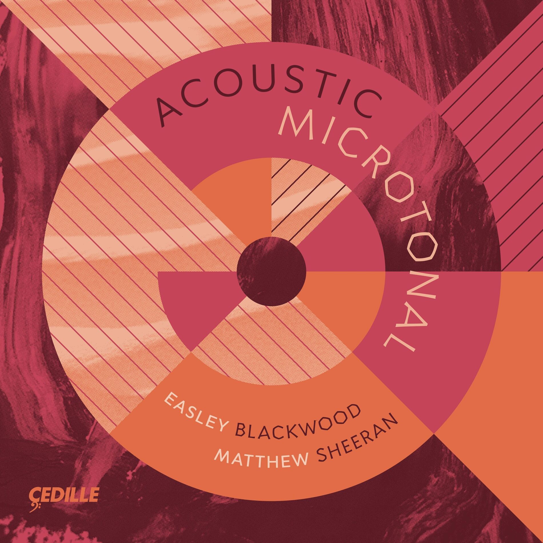 Album cover of Acoustic Microtonal