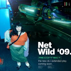 Cover of Net Wild '09