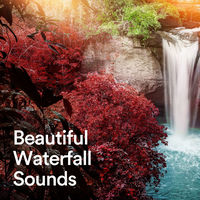 その他 Drew's Famous Sights &amp; Sounds: Waterfalls [DVD] Drew's Famous Sights & Sounds: Waterfalls [DVD](品) 【公式通販】
