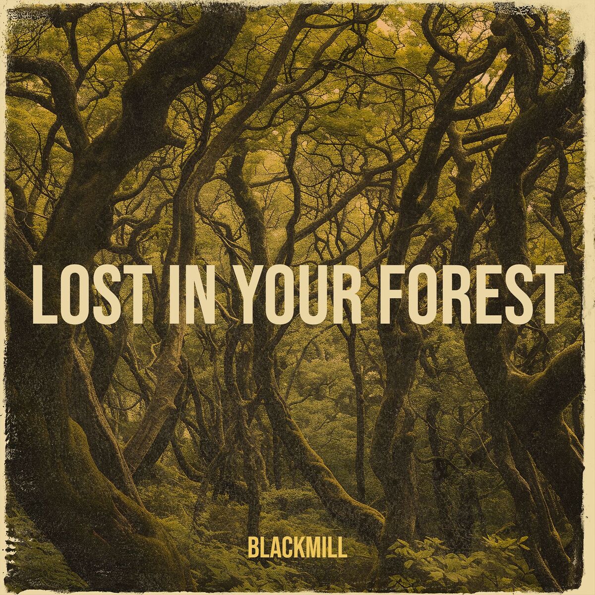 Album cover of Lost in Your Forest