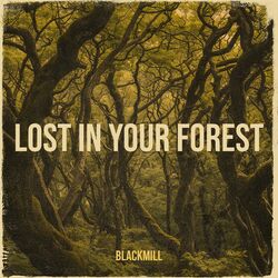 Cover of Lost in Your Forest
