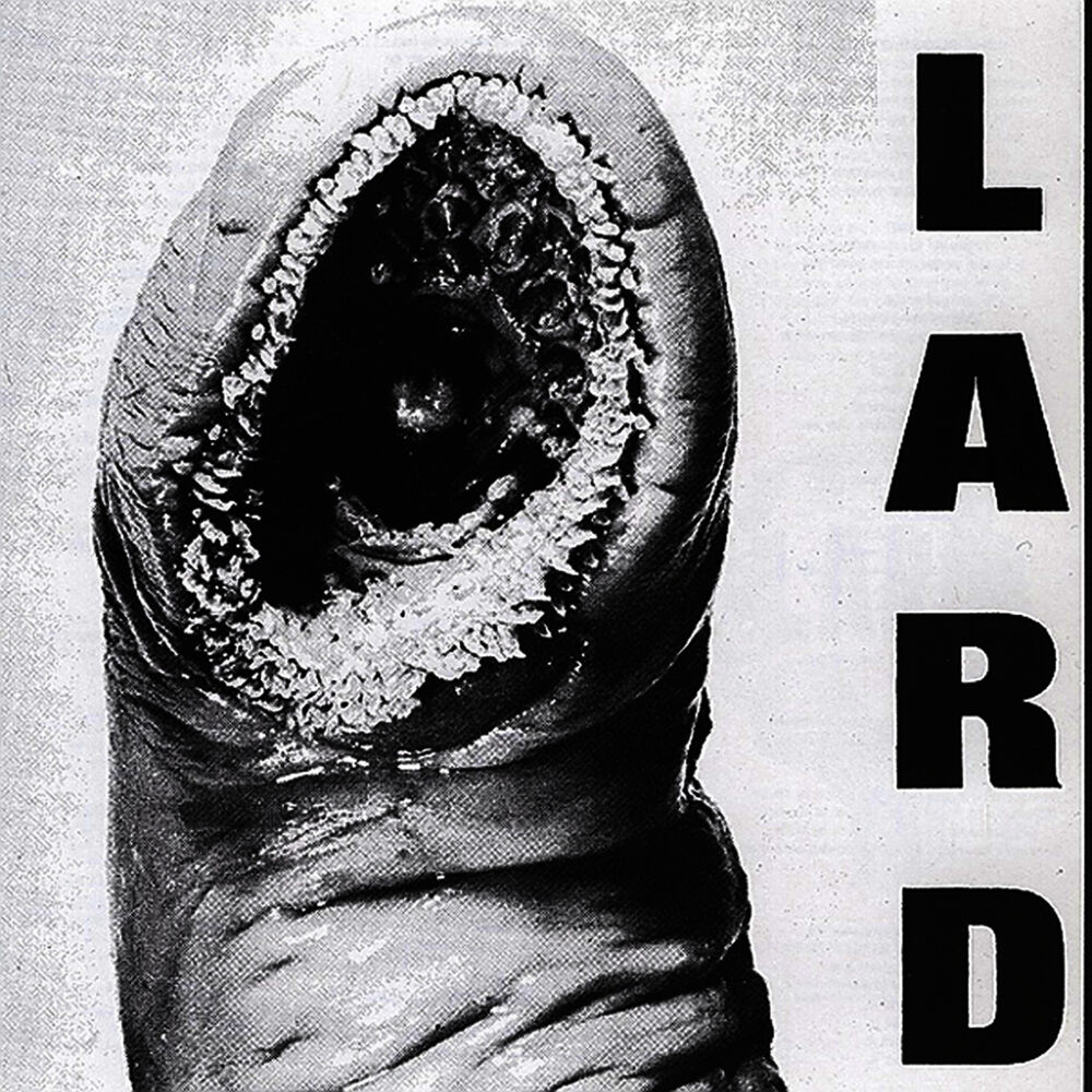 Picture of Power Of Lard