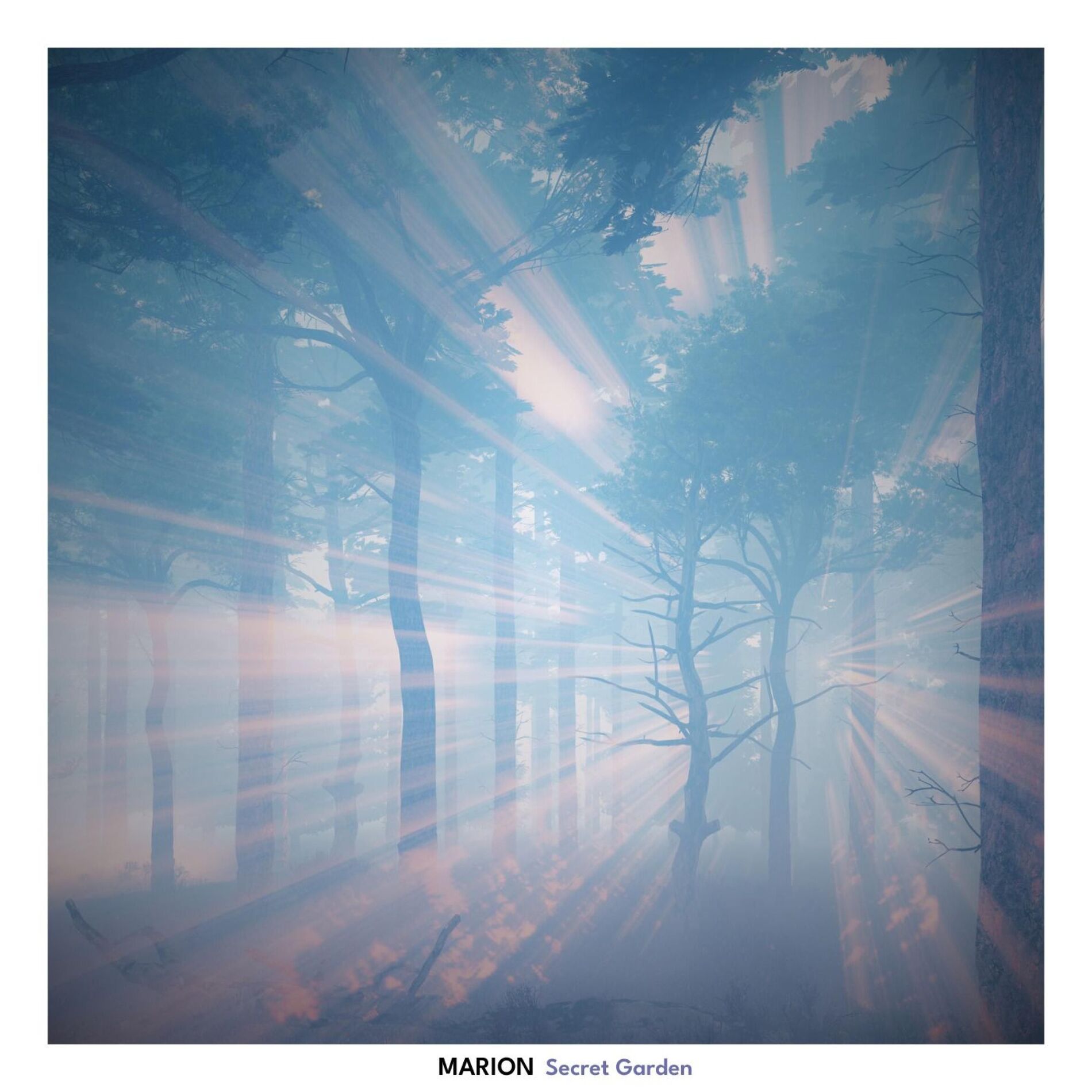 Album cover of Secret Garden