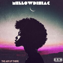 Cover of The Air Up There