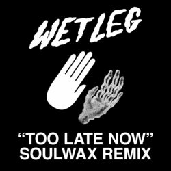 Cover of Too Late Now (Soulwax Remix)