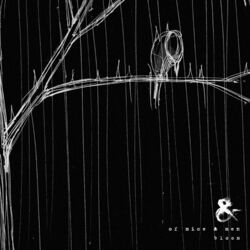 Cover of Bloom