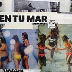 Cover of En Tu Mar