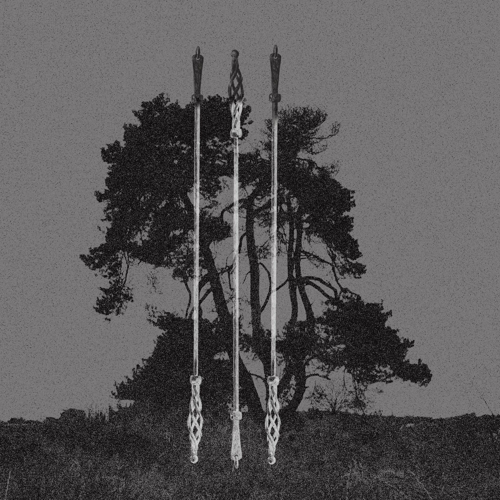 Album cover of Æt wega gelætan