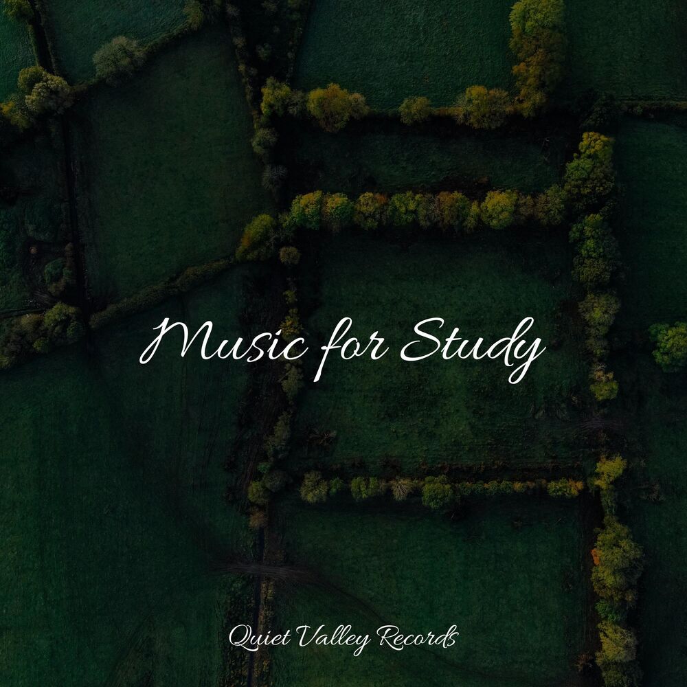 Picture of Music for Study