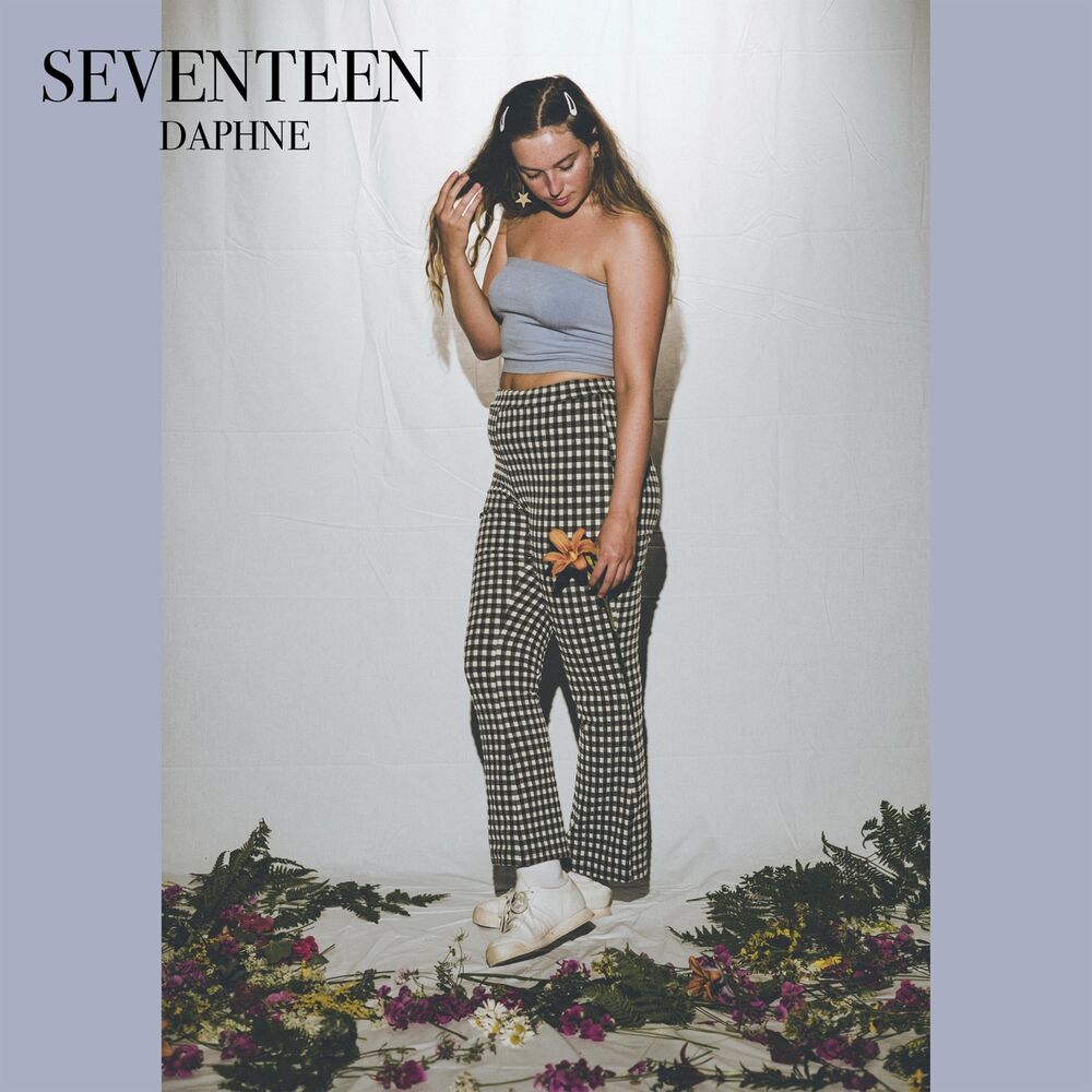 Picture of Seventeen