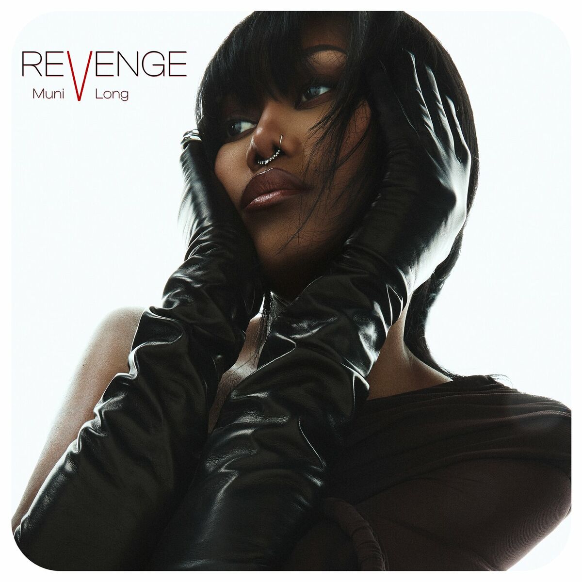 Album cover of Revenge