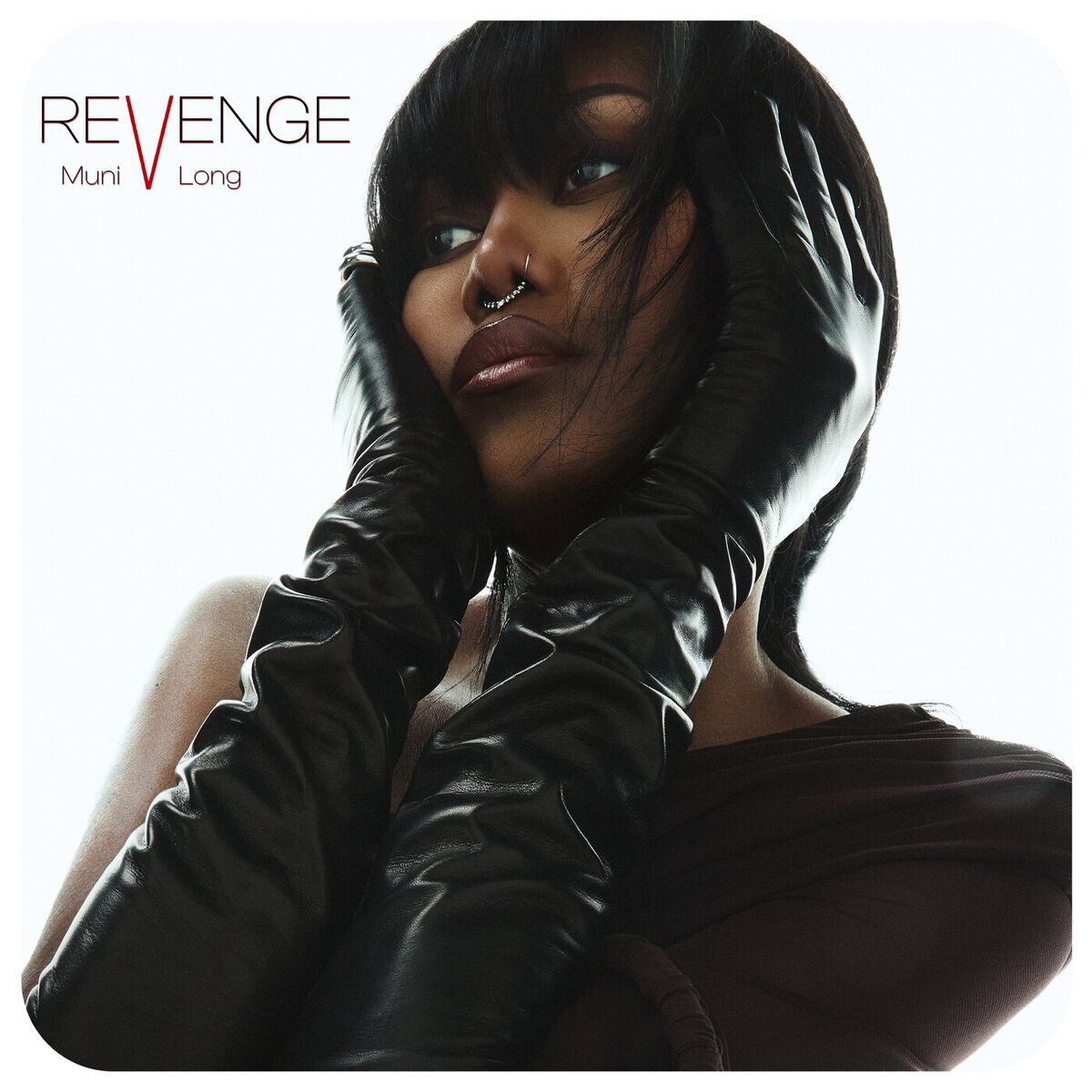 Album cover of Revenge