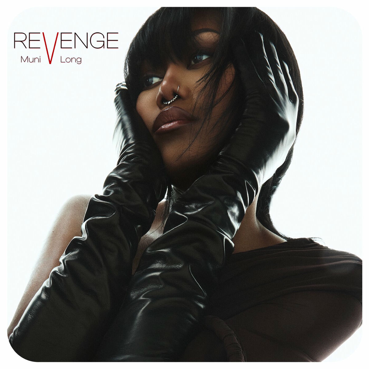 Album picture of Revenge