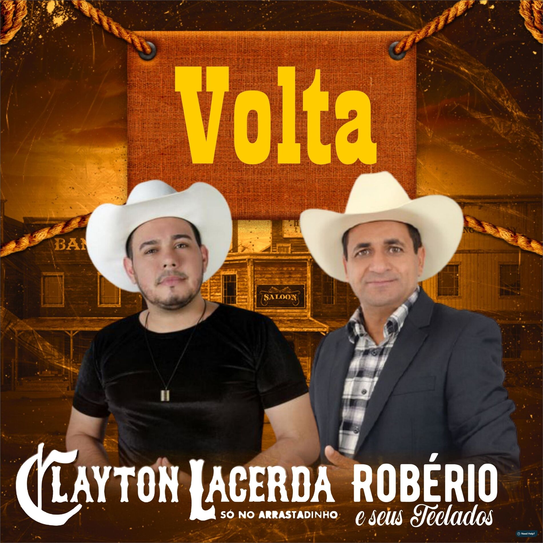 Album cover of Volta