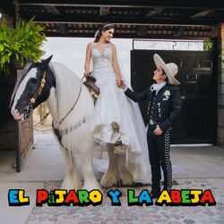 Cover of El pájaro y la abeja
