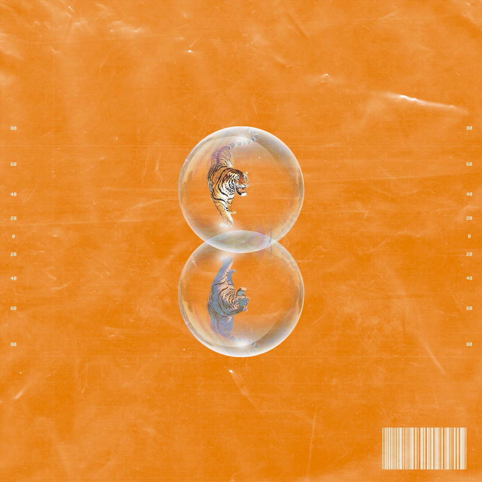 Album cover of Illusion
