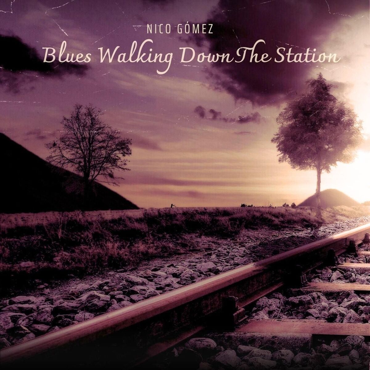 Album cover of Blues Walking Down The Station