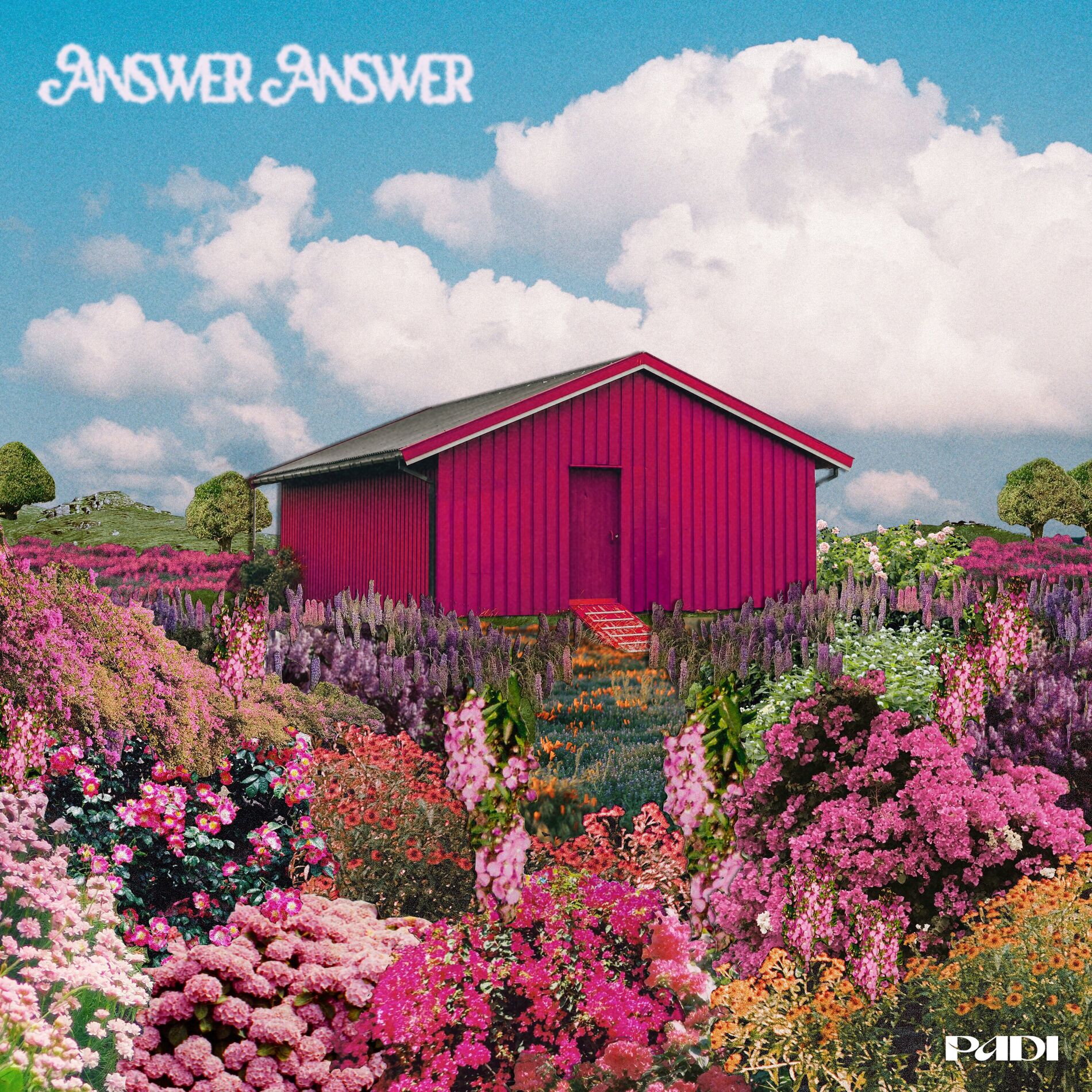 Album cover of Answer Answer