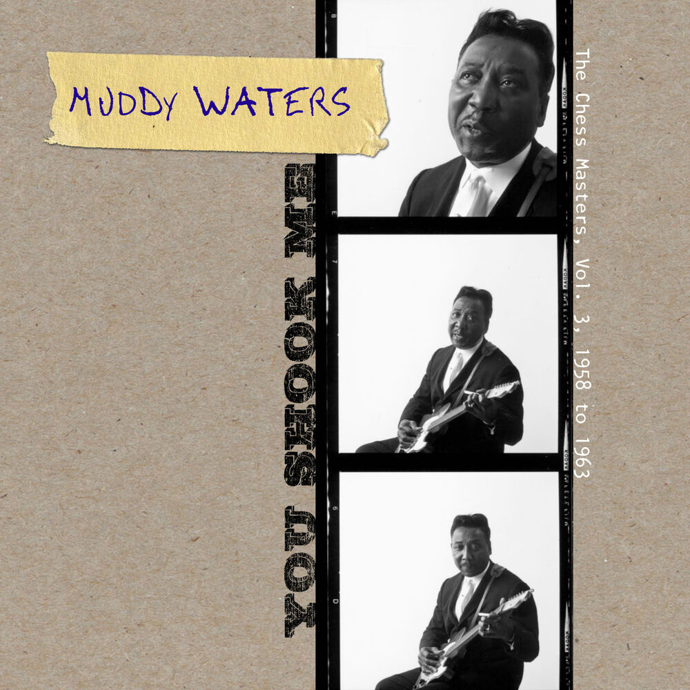 Picture of You Shook Me - The Chess Masters, Vol. 3, 1958 To 1963