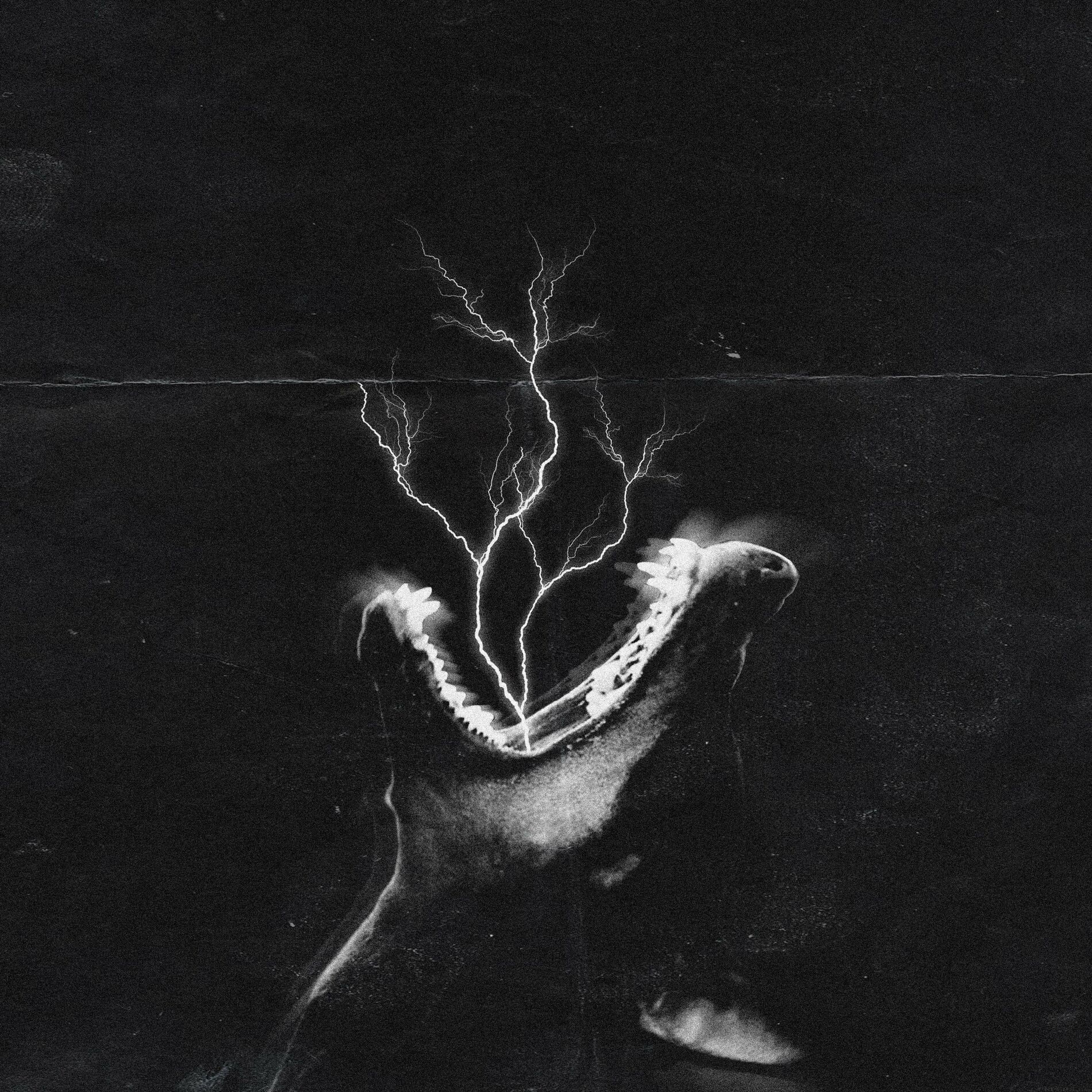 Album cover of BITE BACK!
