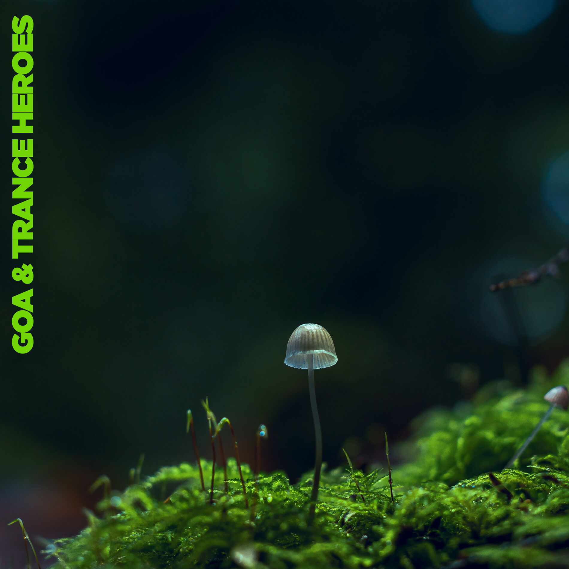 Album cover of Goa & Trance Heroes