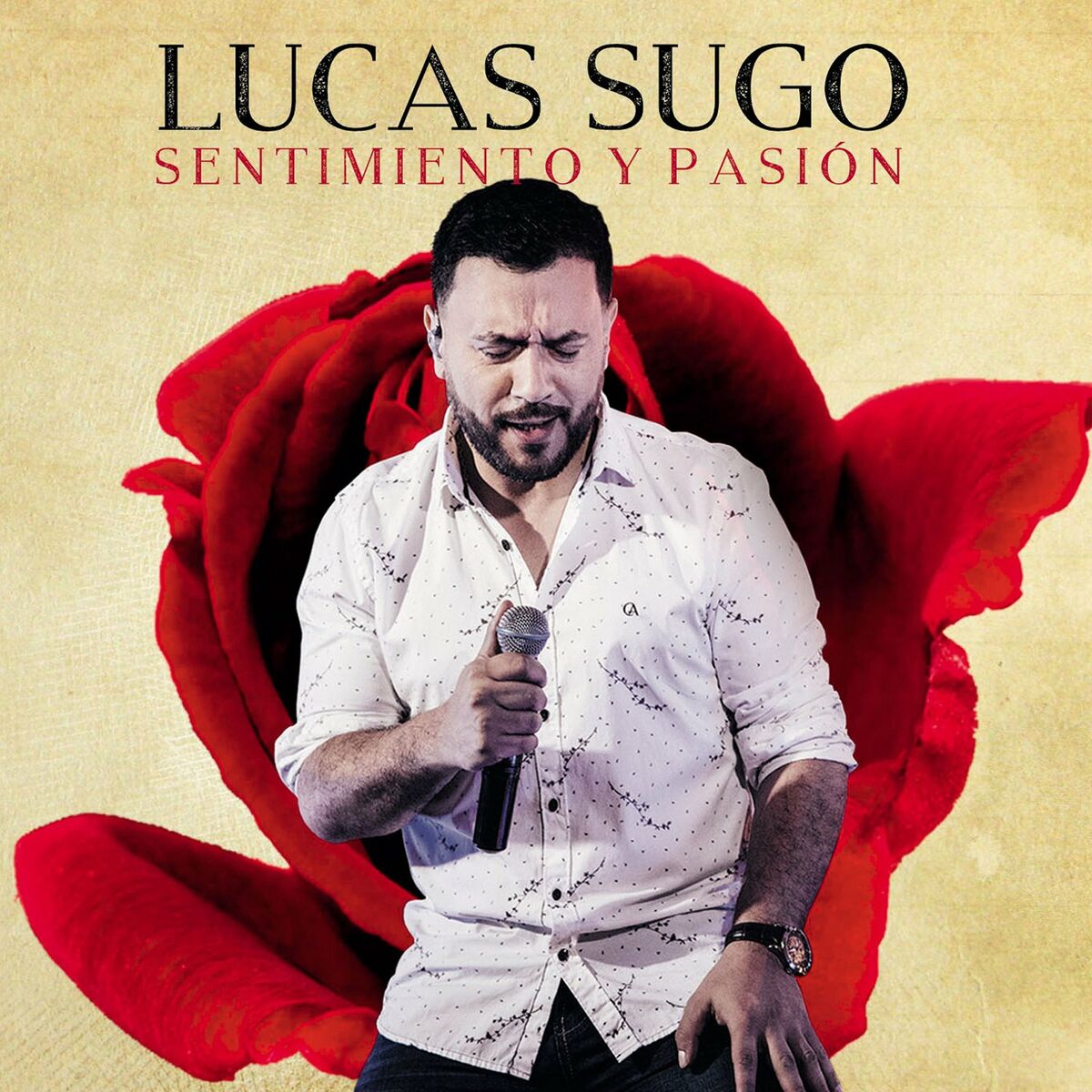 Album cover of Sentimiento y Pasión Extended