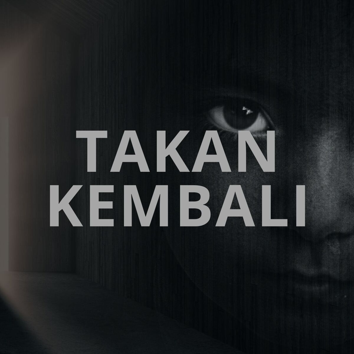 Album cover of TAKAN KEMBALI