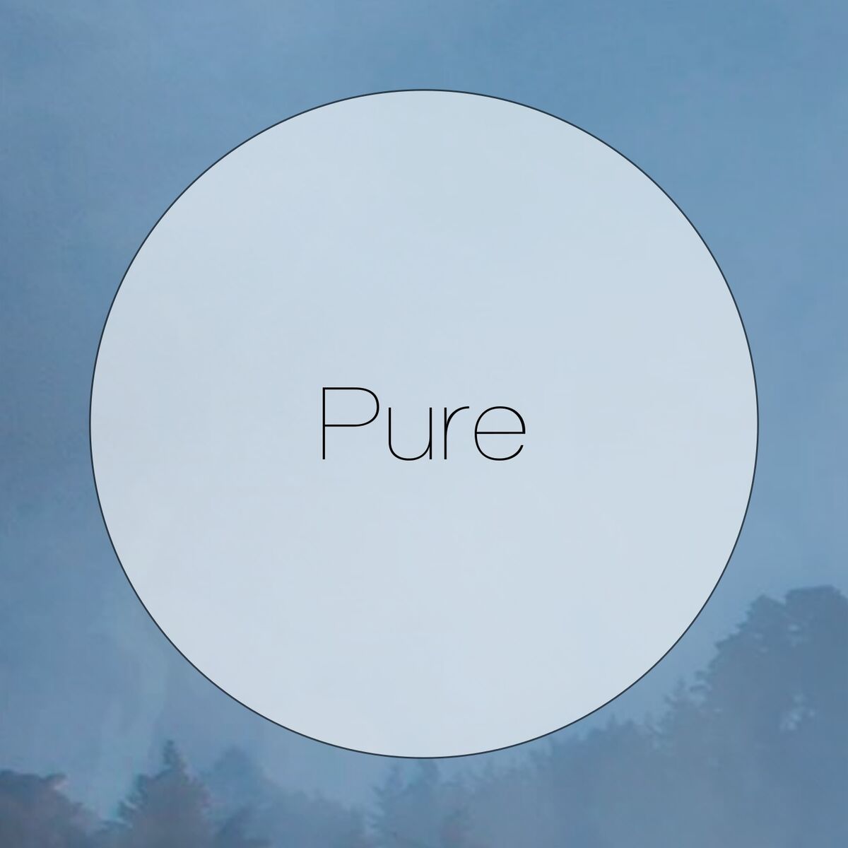 Album cover of Pure