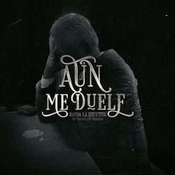 Cover of Aún Me Duele