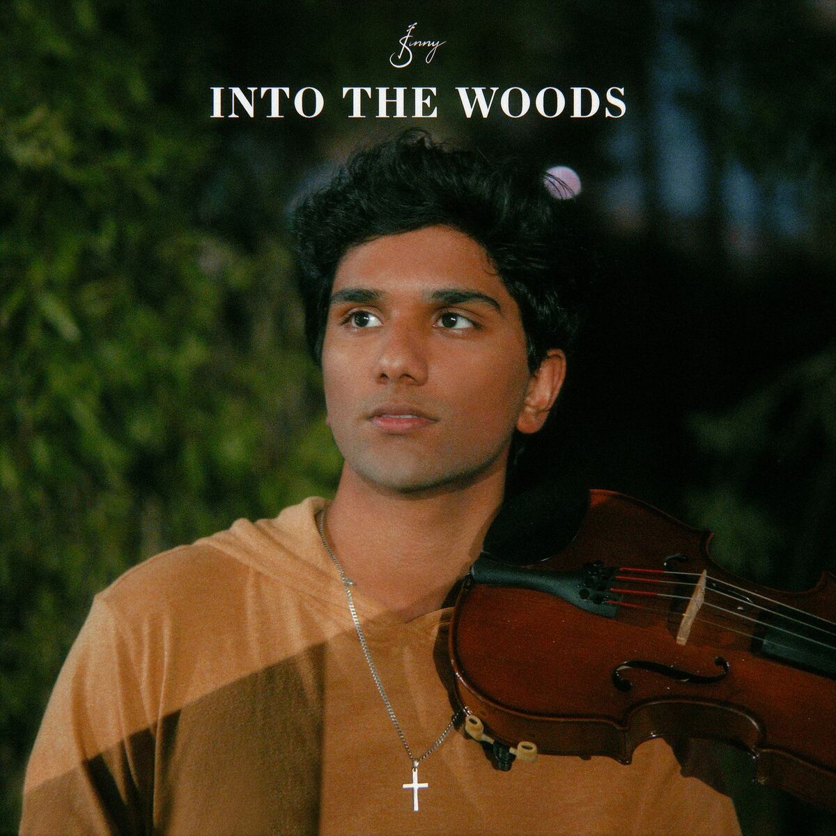 Album cover of Into The Woods