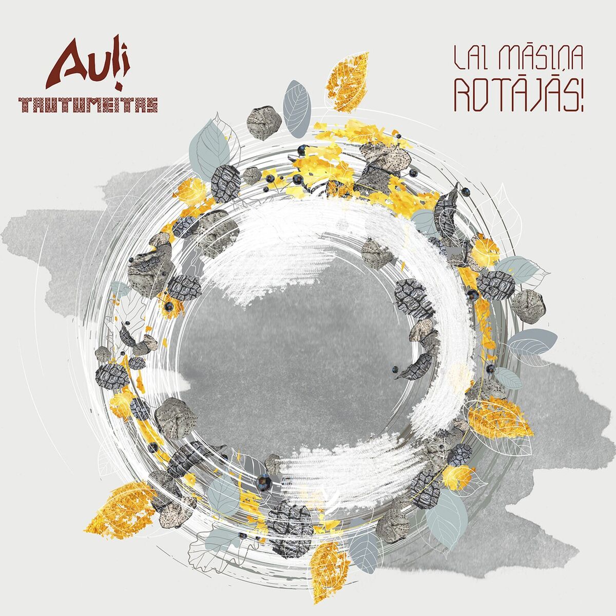 Album cover of Lai māsiņa rotājās!